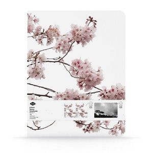 Denik Softcover 80 Page College Ruled Skinny Notebooks 2-Pack